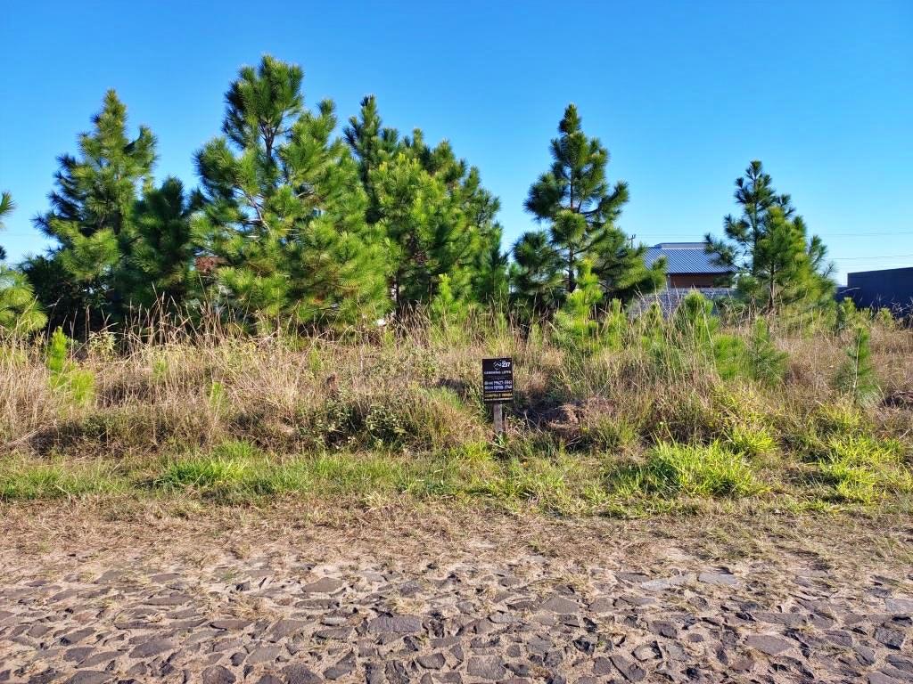 Terreno, 300 m² - Foto 1