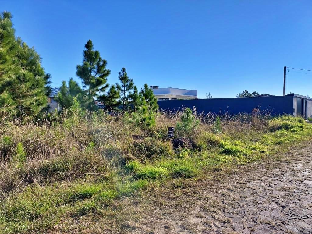 Terreno, 300 m² - Foto 4