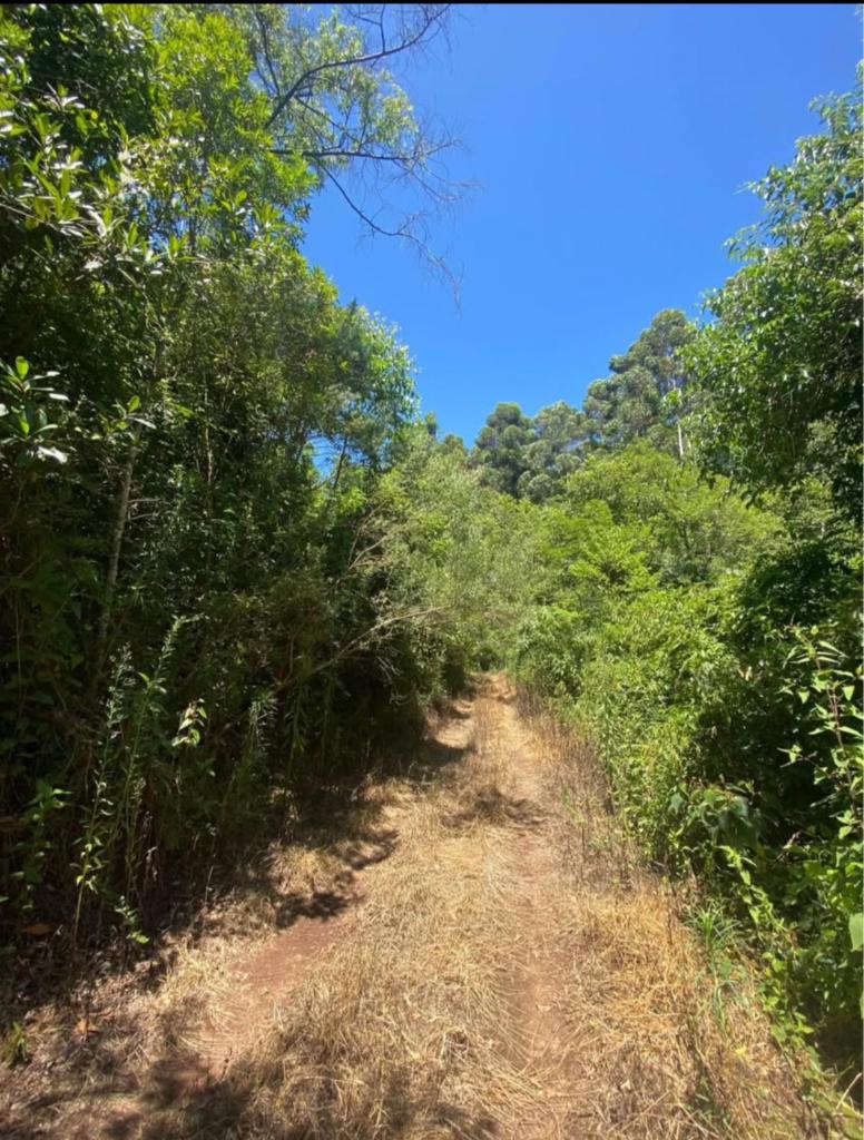 Area de Terra